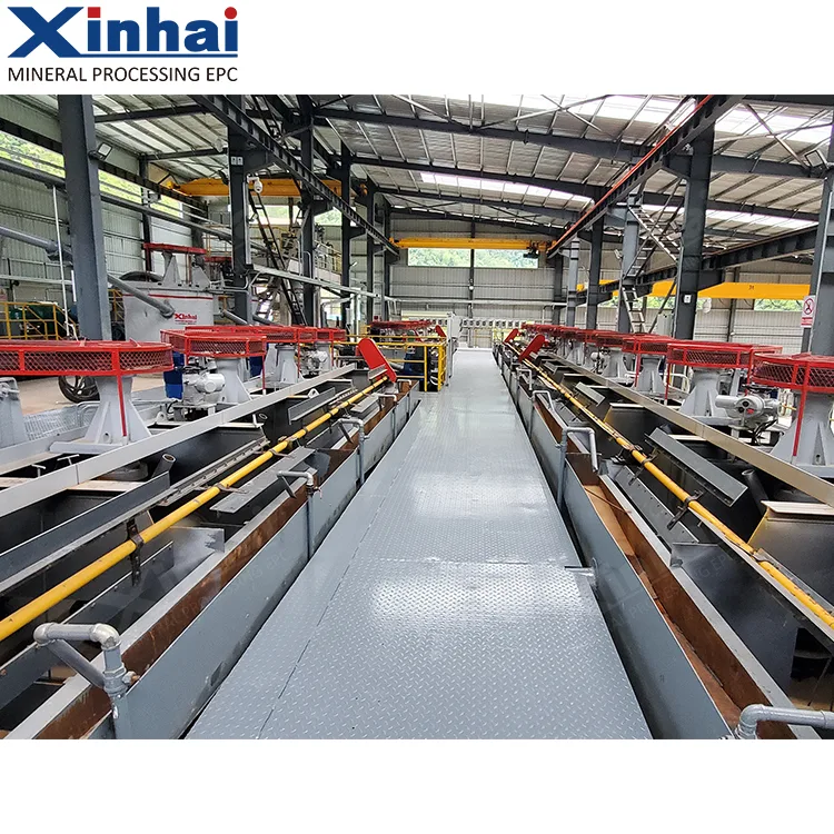 Gold flotation plant